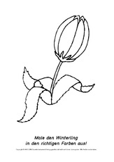 Frühlingsblüher-Ausmalbilder 9.pdf